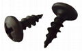 Gypsum board screws