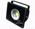 LED Floodlight 5