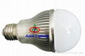 LED Bulb 1