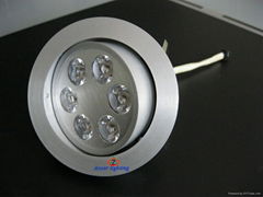 LED Ceiling Light