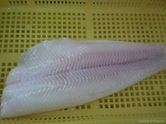 pacific halibut