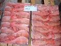 frozen red fish