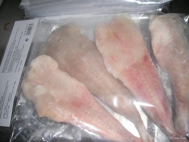 frozen monkfish fillet