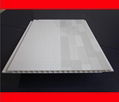 pvc panel 3