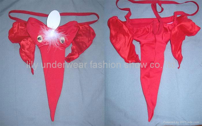 elephant cattle  sex shape t g-thong