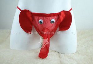 elephant cattle  sex shape t g-thong 3