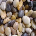 Pebble/River Stone 4