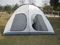 Stock tent 2