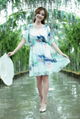 Ladies Fashion Dress