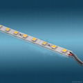 5050 LED Strip-A 4