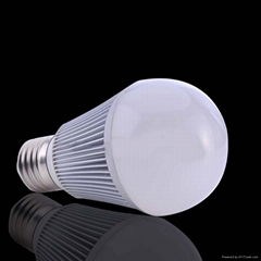 6W LED Bulb lamp-2