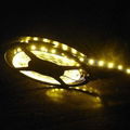 SMD5050 60LED/m waterproof LED Ribbon Strip Light