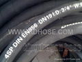 Hydraulic hose 1