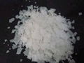 caustic soda flakes