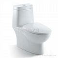 One piece toilet 1