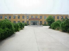 Shandong Puruisen Bearing Technology Co., Ltd.