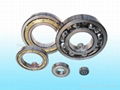 Deep Groove Ball  Bearings 1