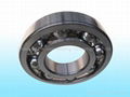 Deep Groove Ball  Bearings 4