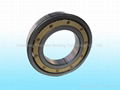 Deep Groove Ball  Bearings 5