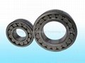 Cylindrical Roller Bearing  4