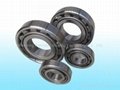 Cylindrical Roller Bearing  5