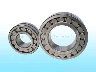  Spherical Roller Bearing  5