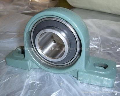 Pillow Block Bearing 4