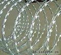 Razor Barbed Wire