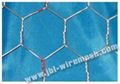 Hexagonal Wire Mesh 2