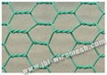 Hexagonal Wire Mesh 4