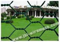 Hexagonal Wire Mesh 5