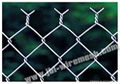 Chain Link Fence 1