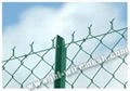 Wire Mesh Fence