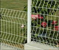 Wire Mesh Fence