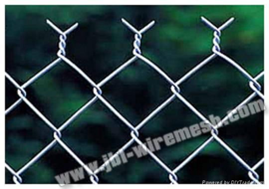 Wire Mesh Fence 5