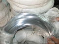 Galvanized Iron Wire 1