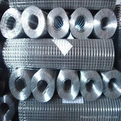 Galvanized Welded Wire Mesh