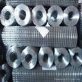 Galvanized Welded Wire Mesh 1