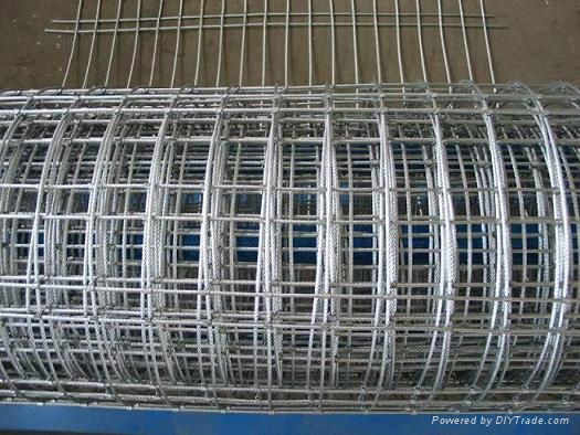 Galvanized Welded Wire Mesh 2