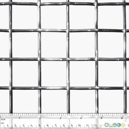 Galvanized Welded Wire Mesh 5