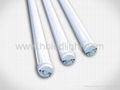 LED T5 T8 T10 TUBE LIGHT CE&ROHS  2