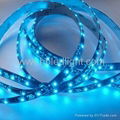 LED flexible strip light smd3528 60leds/m 5m/roll 3