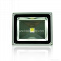 50w LED Flood Light