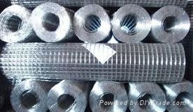 Stainless steel welded wire mesh 