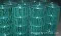 Coated welded wire mesh 1