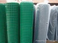 Coated welded wire mesh 3