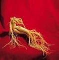 Ginseng Extract