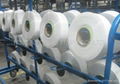 Polyester Yarn