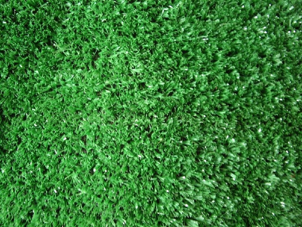 园林绿化装饰草坪 2