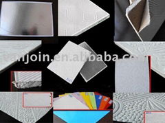 Gypsum board